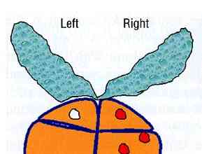 portion of diagram