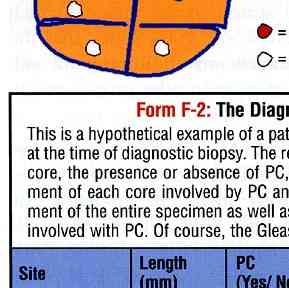 portion of diagram