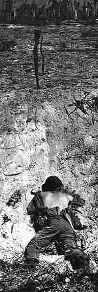 a dead US Marine, Eniwetok Island, February 1944