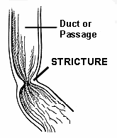 drawing of a structure