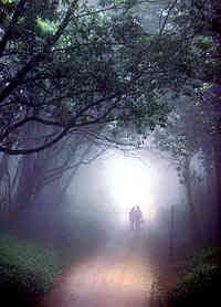 couple down path, in fog