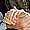 click here to to go story