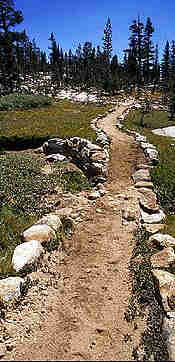 wide mountain dirt trail doing into trees at a distance